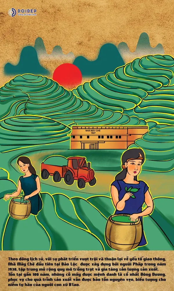 Tranh minh họa nhà máy chè giữa những đồi chè xanh, người hái chè và vầng mặt trời đỏ