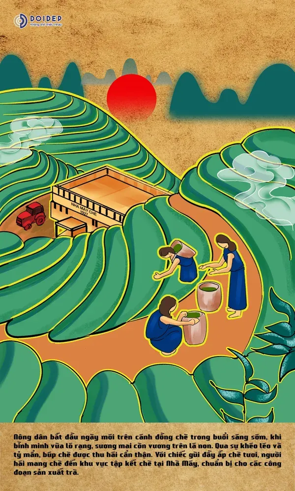 Tranh minh họa người hái chè trên đồi, phía xa là mái nhà xưởng